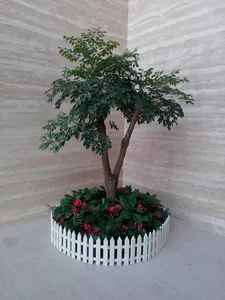 大興區綠植租擺大興區綠植租賃大興區花卉出租公司